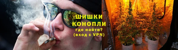 гидра Коряжма