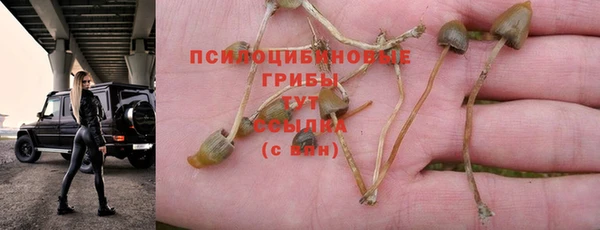 кокаин премиум Краснослободск