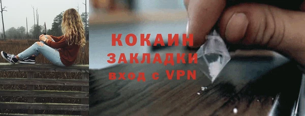 гидра Коряжма