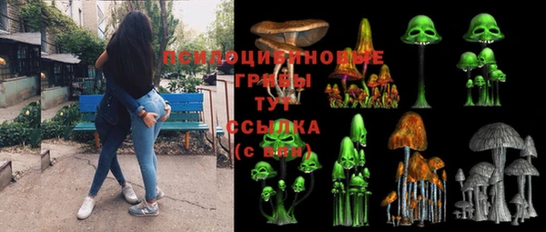 гидра Коряжма