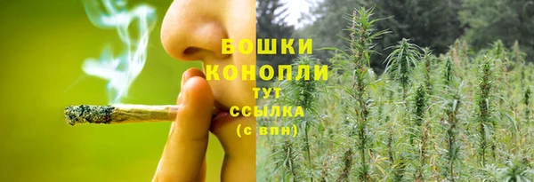 гидра Коряжма