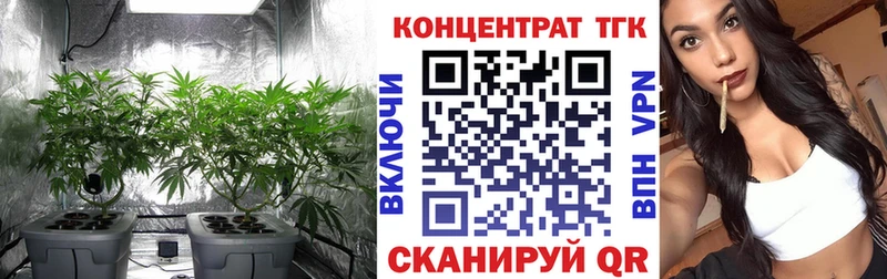 ТГК гашишное масло  Сретенск 