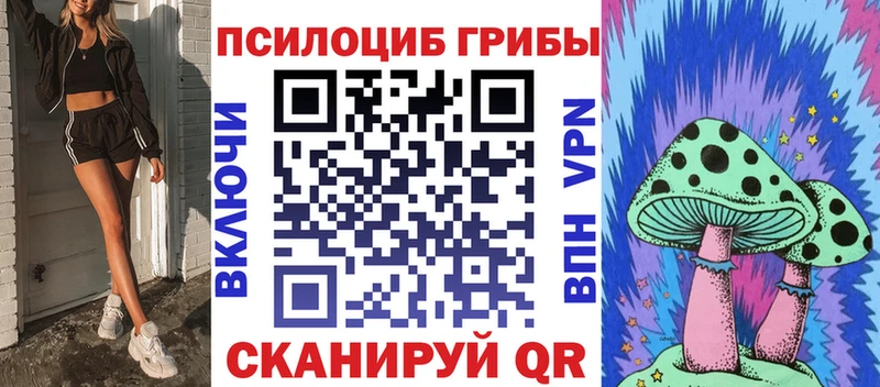 как найти   Сретенск  Псилоцибиновые грибы мицелий 